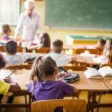 Essay Contest