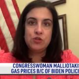 Congresswoman Nicole Malliotakis