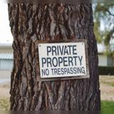 Squatter